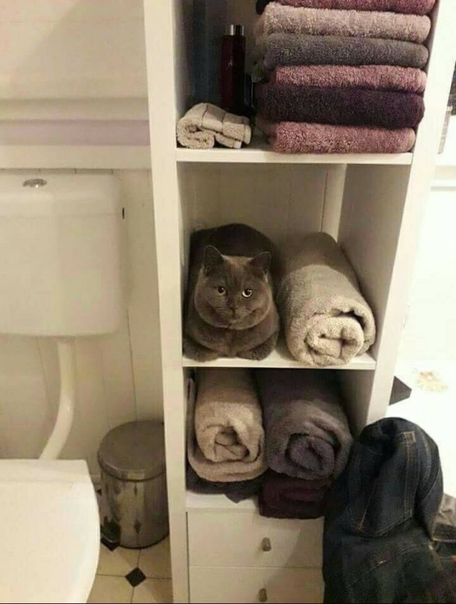 Немного милоты