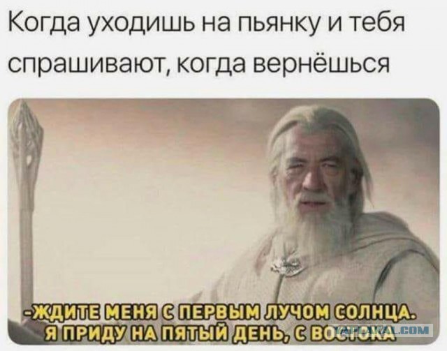 Алкопост на вечер этой пятницы