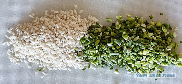 Июньское харчо!