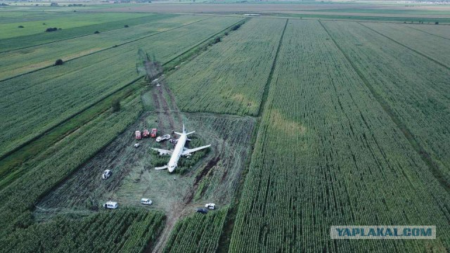 Владелец поля под Москвой пожаловался на убытки от посадки самолета