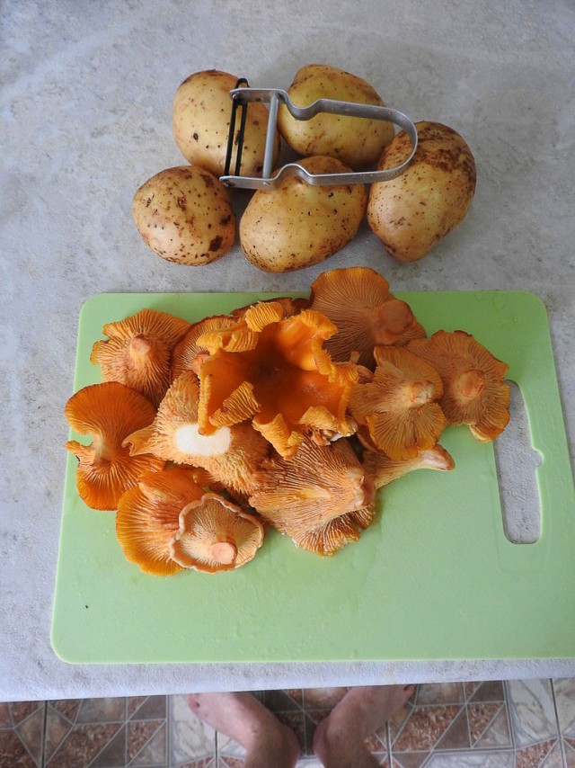 Мой первый кыстыбый.