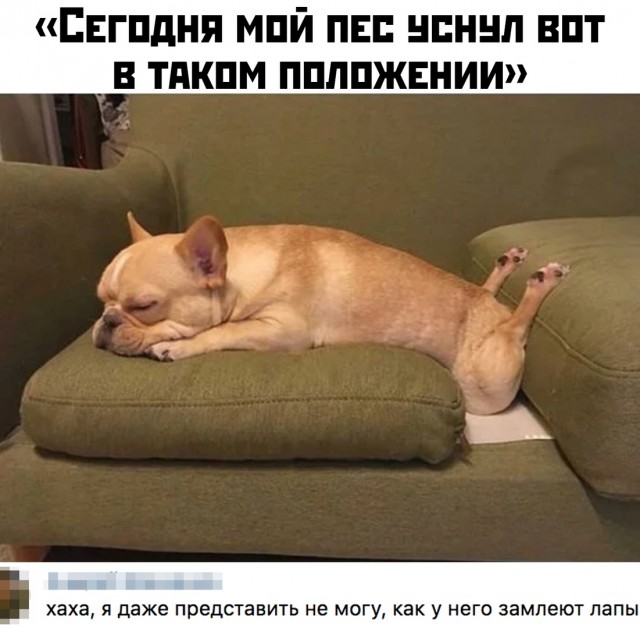 Картинки и мемы для настроения