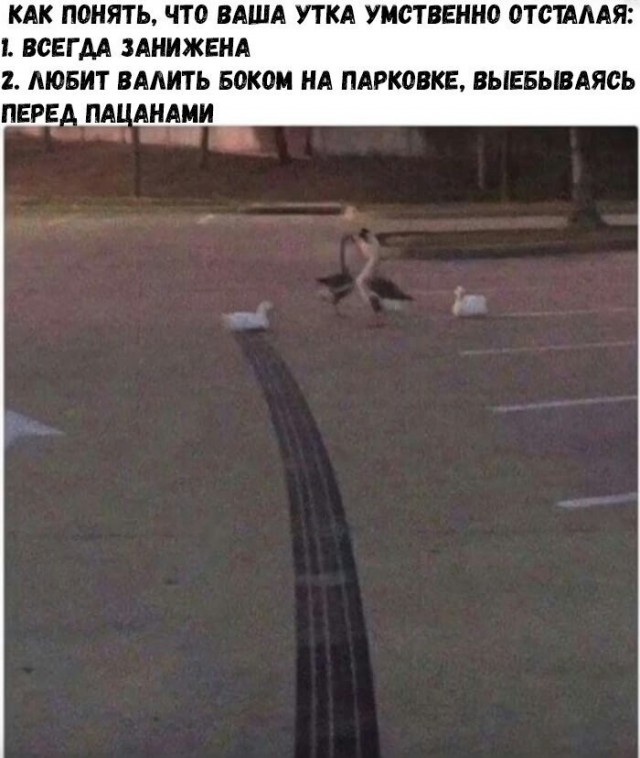 Красиво подкатил