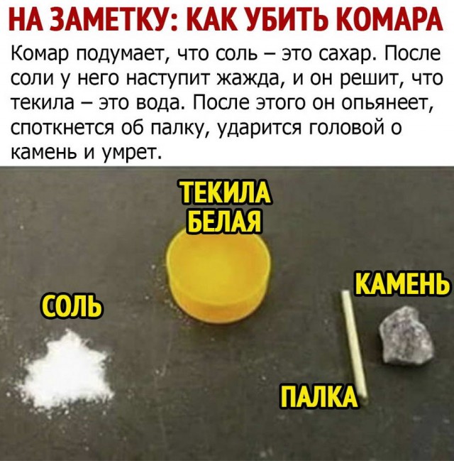 Подборка картинок 22.06.2020