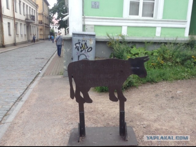 Секс в машине, личный опыт!