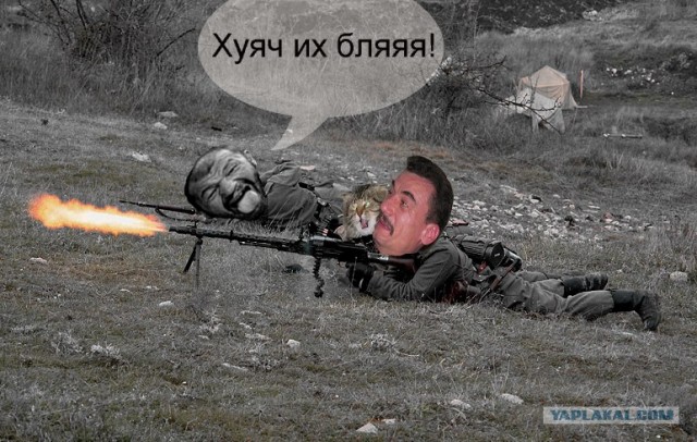 Злой кот