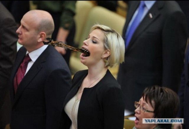 Фотожаба: Депутатка 80 lvl