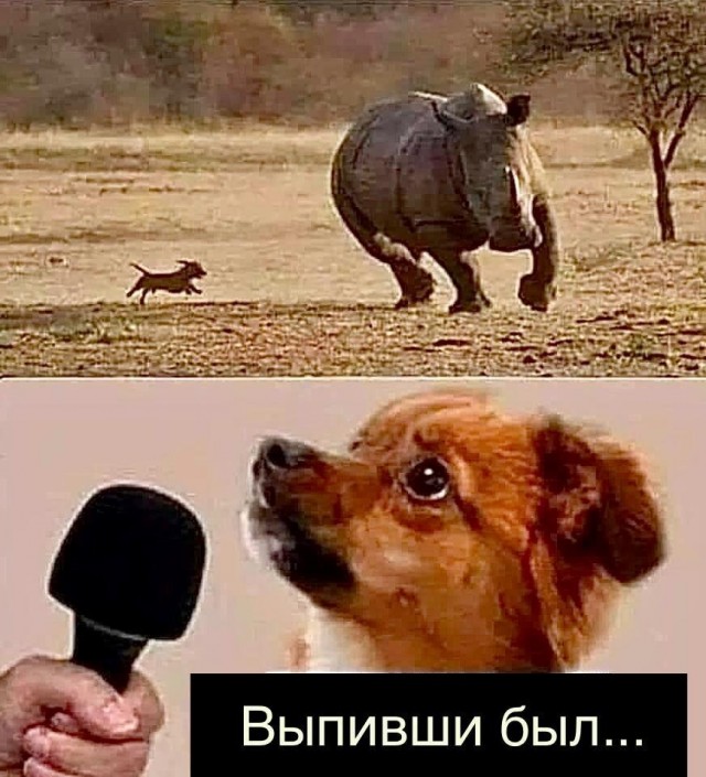 Мужчина НЕ должен обеспечивать. И никогда не был должен