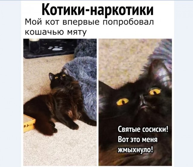 Картинки и мемы для настроения 05.03.2021