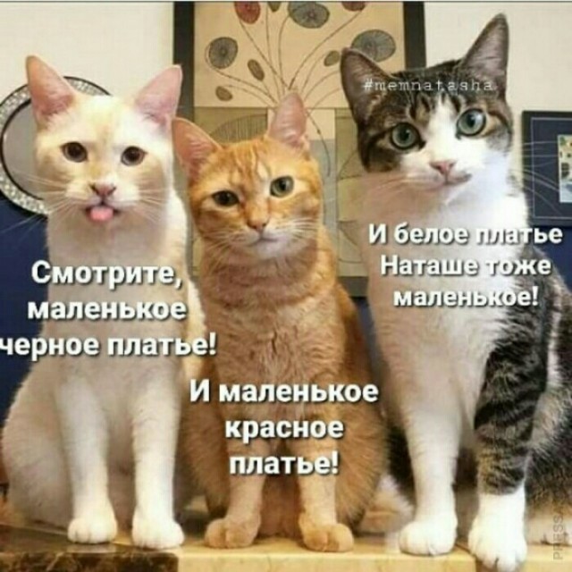 Немного картинок разной степени новизны и адекватности - 2
