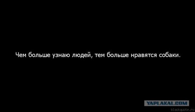 Картинки с надписями чем больше узнаю людей тем больше нравятся собаки