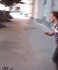 Мусор бытовой против мусора генетического