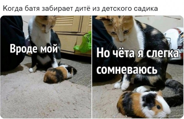 Так себе картинки 08.10.21