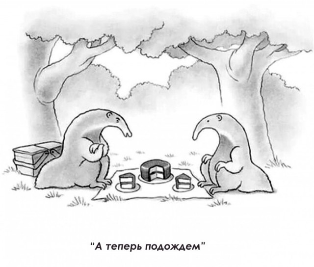 Плохо быть крокодилом