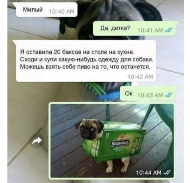 Картинки и мемы, всем прекрасных выходных