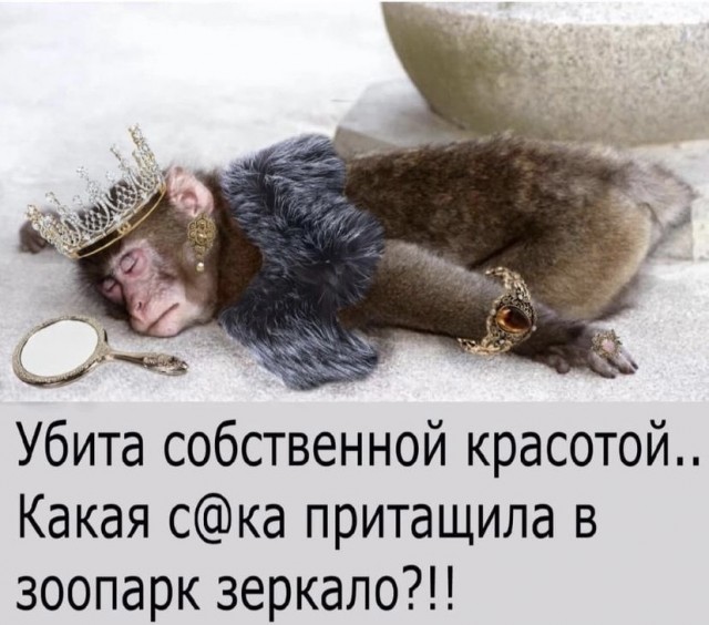 Весёлый полтишок 05.11