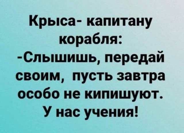 Весёлый полтишок 11.11