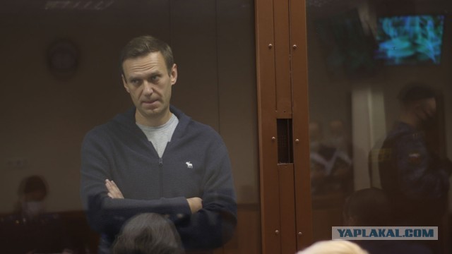В суд поступило новое дело против Алексея Навального
