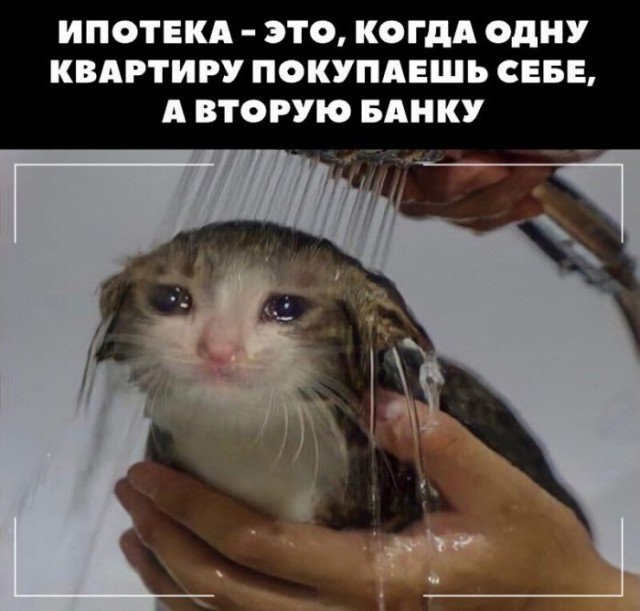 Стёб про Сбер: когда ты был банком, а стал экосистемой