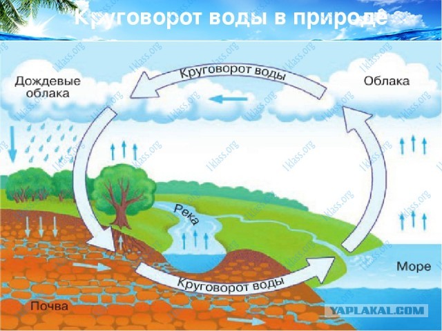 Ну что, дождались?
