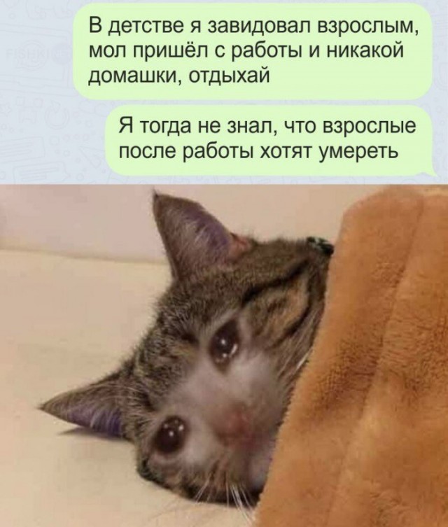 Куда же все так пристально смотрят? Тема сильной зависти.