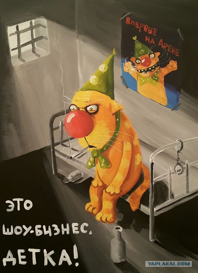 Выступление Зеленского с другого ракурса