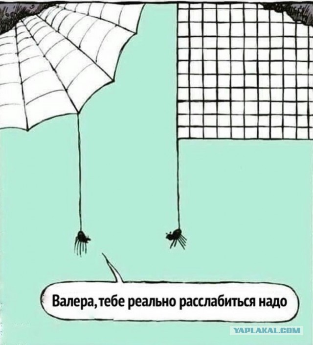 25 пикч для настроения