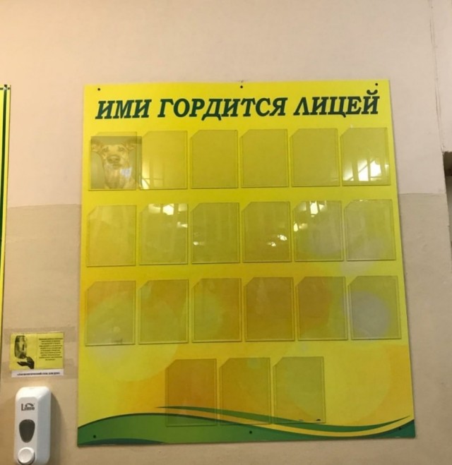 Так себе картинки 11.06.22