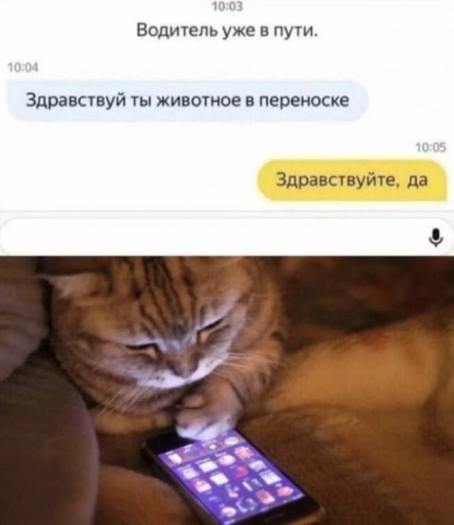 Скриншоты и комментарии из социальных сетей 16.06.22