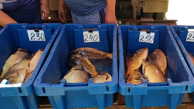 Базар в Ростове на фоне санкций. Продукты и цены. Фотоотчет