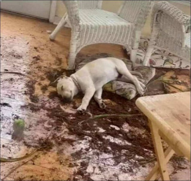 Просто фотографии 05.08.2022