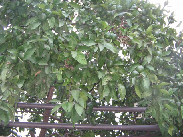 Отдых в Черногории (сентябрь 2012)