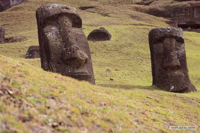 Южно-Американский дневник. остров Пасхи