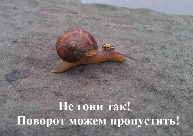 Прикольные и просто красивые картинки 20.12.2022