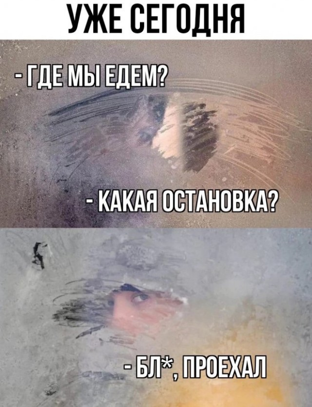 Весёлый полтишок 09.01.23