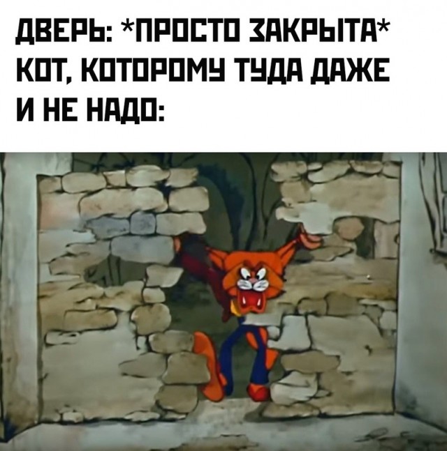 Картинки и мемы, всем хороших выходных