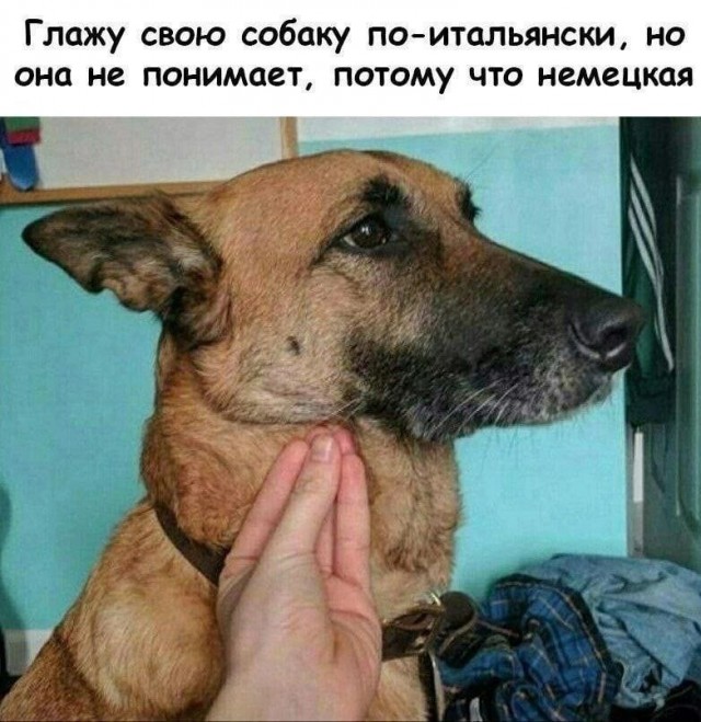Всего понемногу. От 21.04.