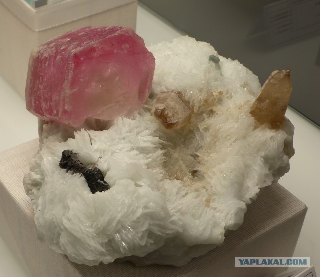 Mineralientage München 2018