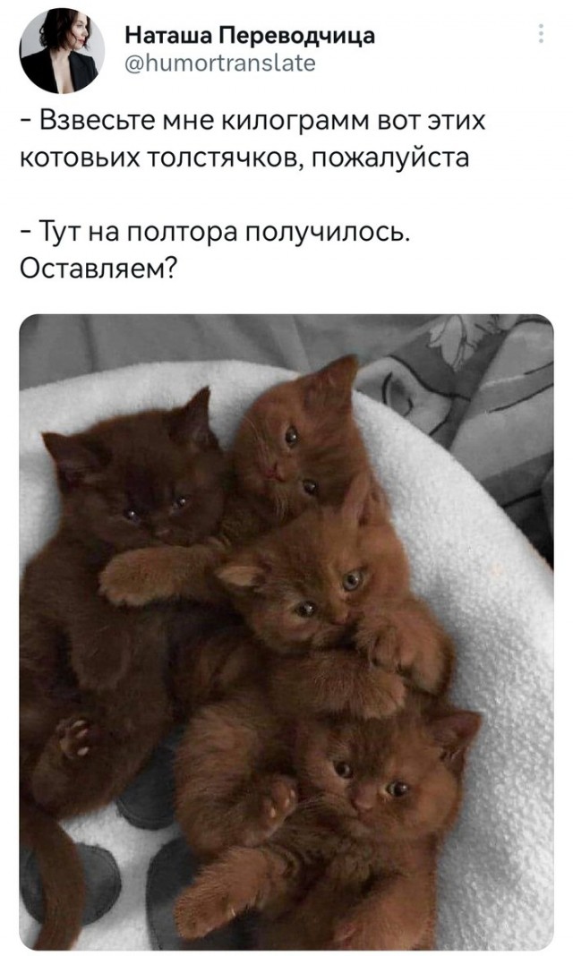 Скриншоты и комментарии из социальных сетей 24.04.23