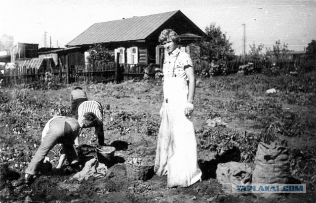 Летний отпуск в СССР