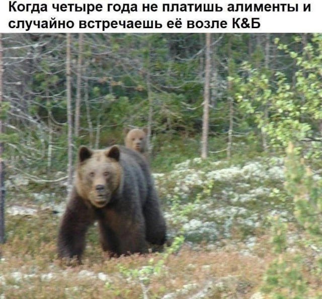 Неадекватность