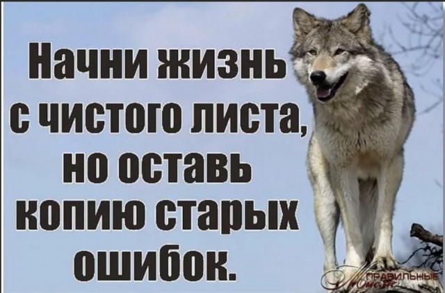 Без врага жизнь скучна, а с врагом - интересна