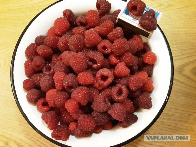 Рязань - Сасово из кабины машиниста