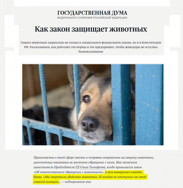 В Бурятии разрешили усыпление больше месяца находящихся в госприюте бездомных собак
