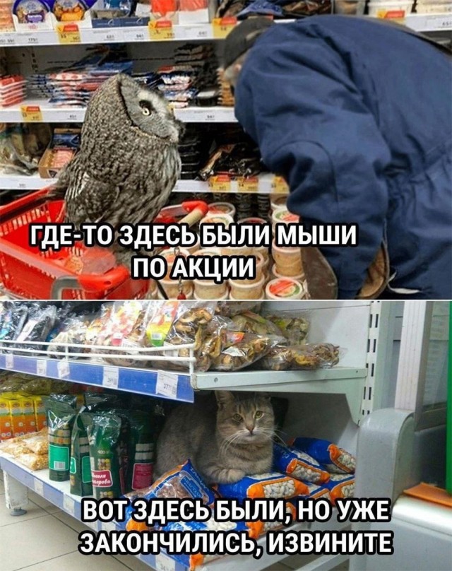 Немного картинок и прочей хреноты Vol. 26