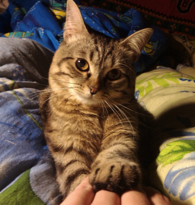 Грустный вторник