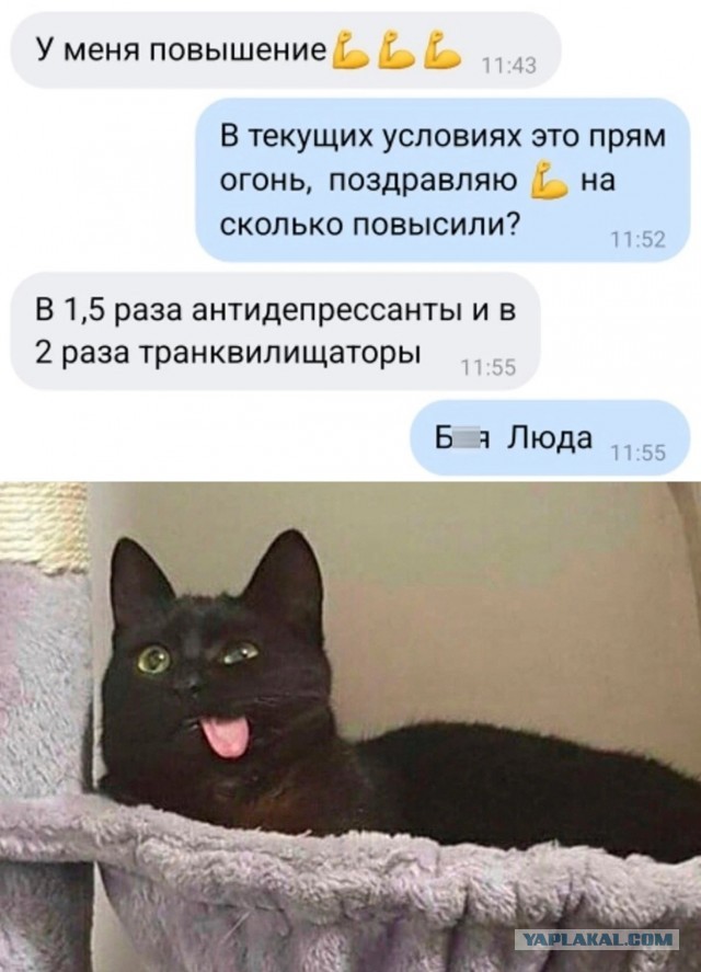 Откровение старой феминистки про мужчин и свою жизнь