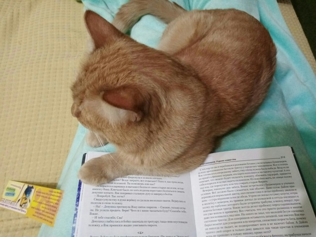 Сборник рассказов ЯПовских авторов. Обсуждение проблемы.