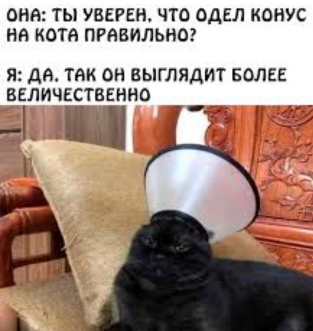 Никакие картинки