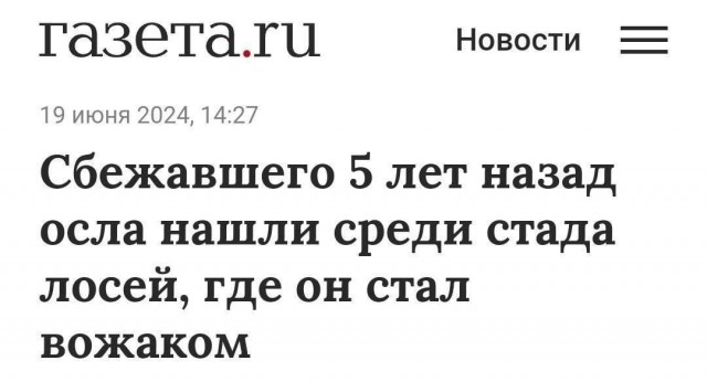 Единственный у кого поперла карьерная лестница